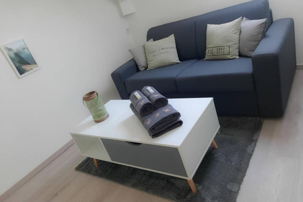 Le Cosy Apartment Sens Luaran gambar