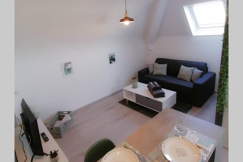 Le Cosy Apartment Sens Luaran gambar