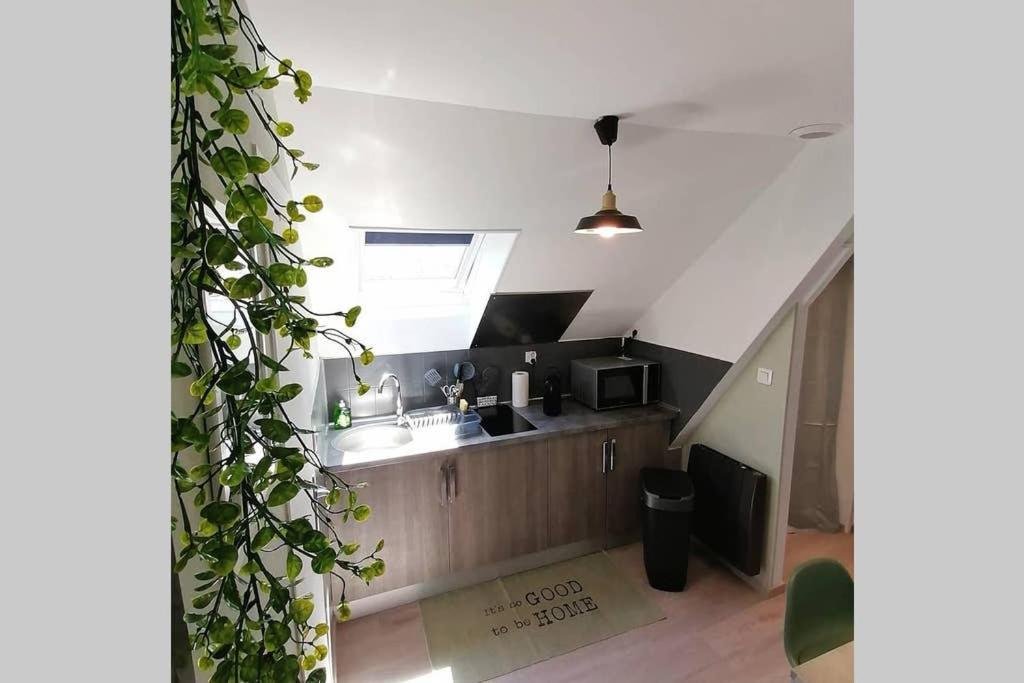 Le Cosy Apartment Sens Luaran gambar