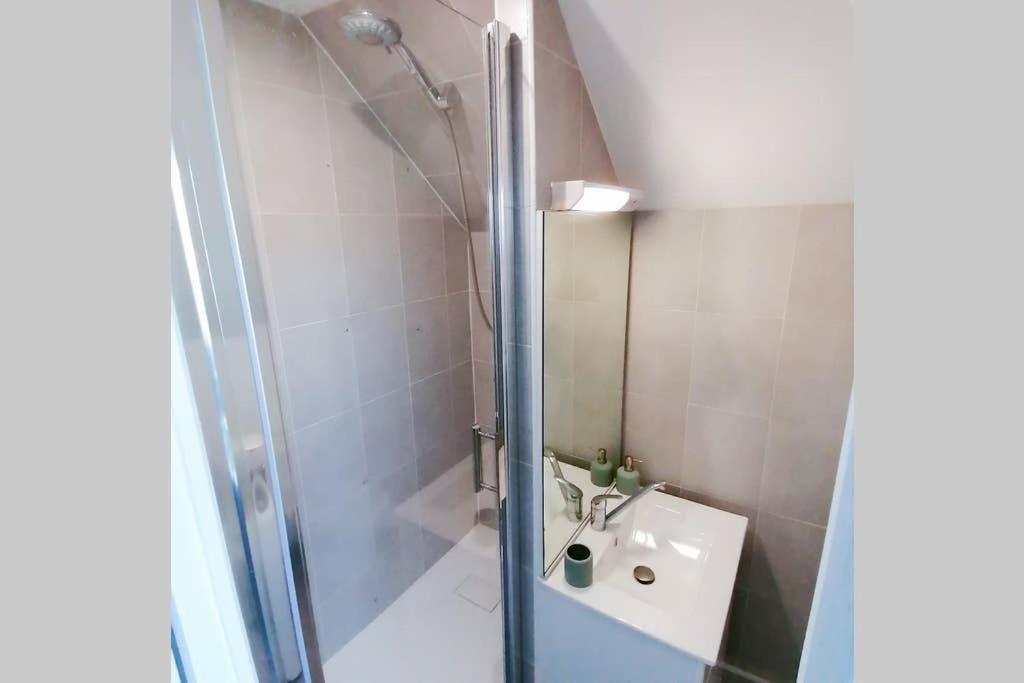 Le Cosy Apartment Sens Luaran gambar